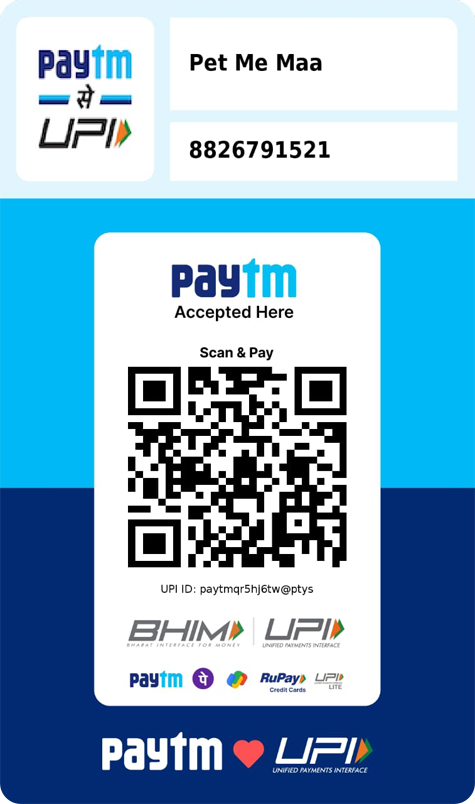 Paytm QR Code